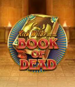 Embark on the thrilling world of Book of Dead by Play'n GO, presenting vivid graphics of Rich Wilde’s adventurous journey through ancient Egyptian tombs and artifacts. Uncover lost riches with engaging mechanics like free spins, expanding icons, and a gamble option. Ideal for adventure enthusiasts with a desire for thrilling discoveries.